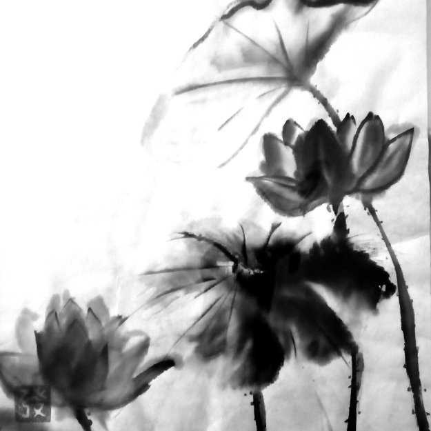 Flor de loto. Humildad