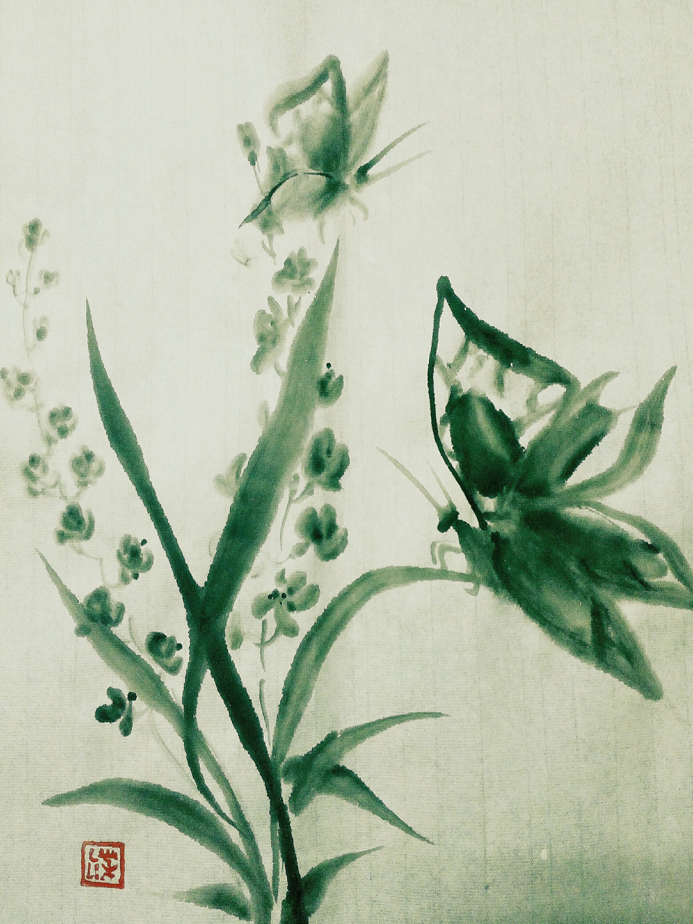 Mariposas y orquídeas